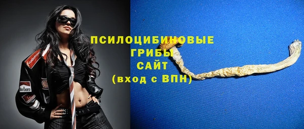 гидра Абдулино