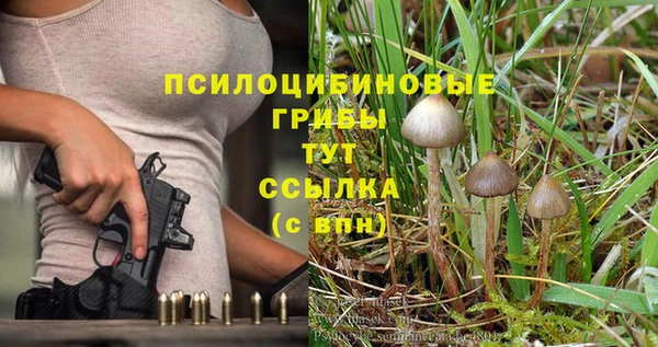 винт Алексин