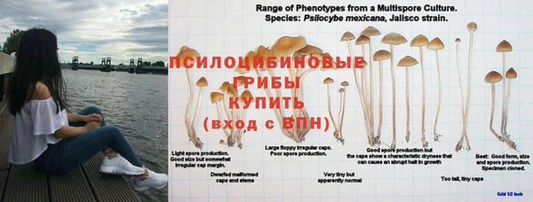 соль курить ск Абаза