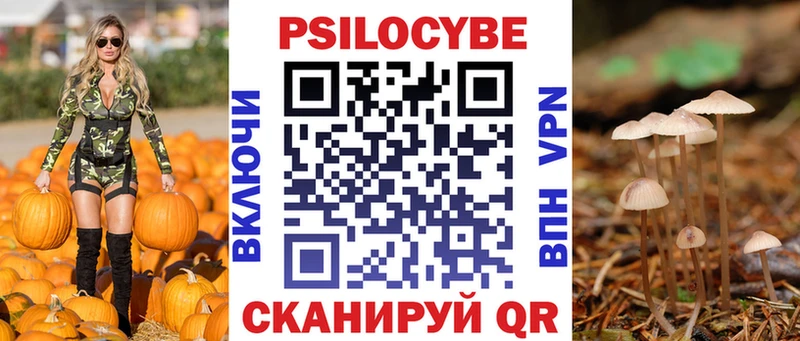 Галлюциногенные грибы Psilocybe  гидра сайт  Шахты 
