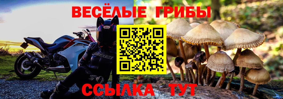 Шахты  Псилоцибиновые грибы Cubensis  Вход с VPN  Галлюциногенные грибы Cubensis 